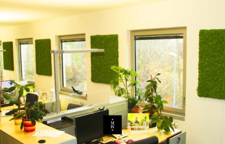 Paneele aus Islandmoos Büro