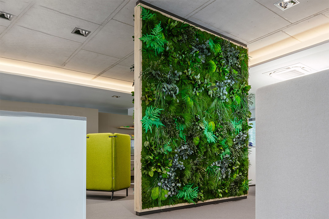 großer Raumtrenner Raumteiler aus Dschungelmoos steht inmitten eines modernen Büros 