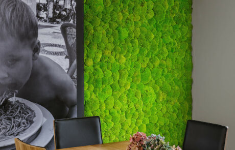 an apple-green bale moss wall in the MoosMoos Showroom Oppach
